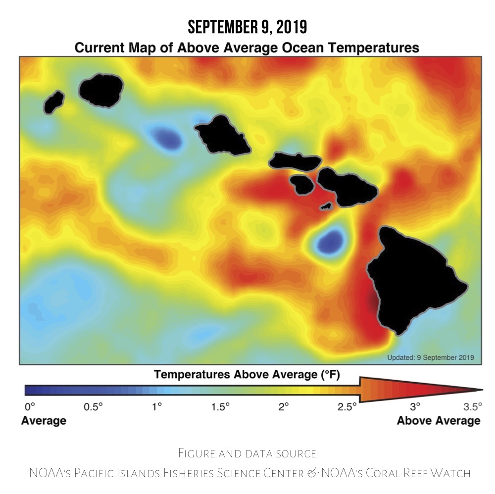 help reduce coral stress