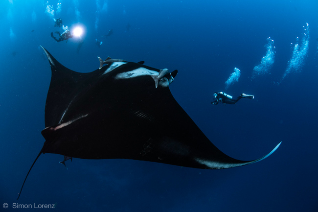 planning first dive trip - photo by simon lorenz