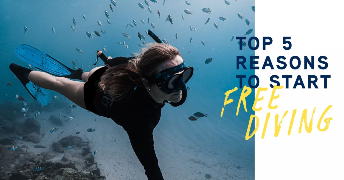 Top 5 Reasons to Start Freediving
