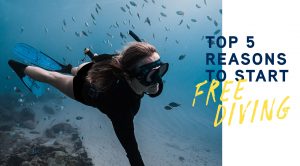 Top 5 Reasons to Start Freediving