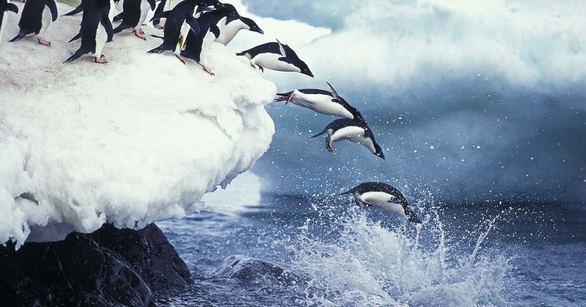 Fifth Southern Ocean